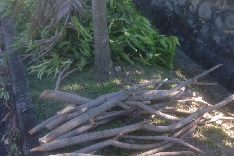 Batas Bukit @ Hugelkultur @ Hillculture