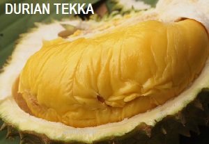 DURIAN TEKKA (D160)