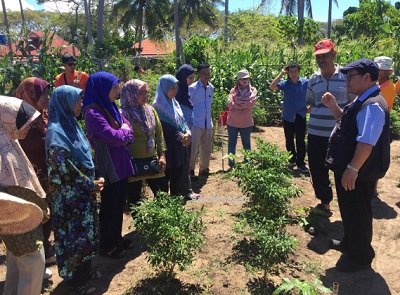 KEBUN KOMUNITI SG MIRI LABUAN