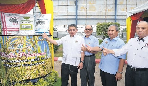 ELAK GUNA BENIH PADI TIDAK SAH