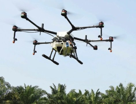 KELAPA SAWIT DAN TEKNOLOGI DRONE
