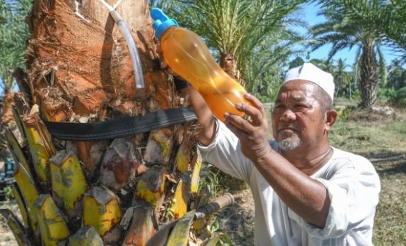 NIRA KURMA – SAJIAN RAMADAN