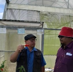 TKPM RAMPANGI – SATU TINJAUAN