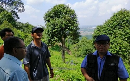 PANDUAN TANAM DURIAN – TANAH CERUN?