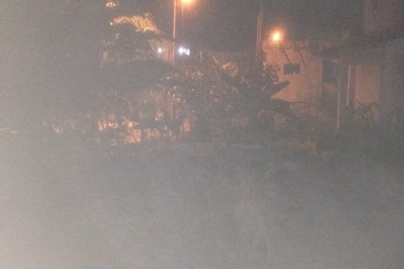 Jerebu Dan Kesannya Kepada Pekebun Bandar