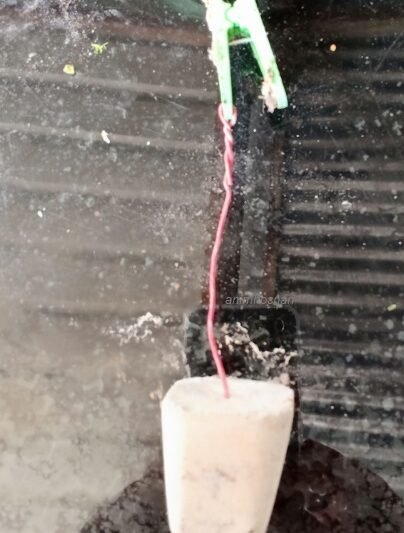 BATU GANTUNG – INOVASI PETOLA