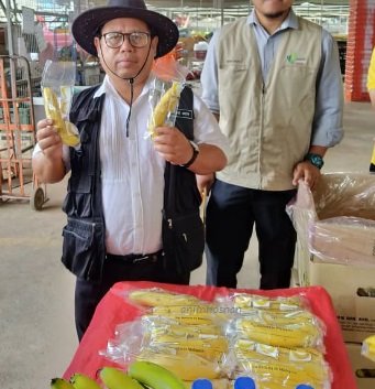 MR BANANA – INDUSTRI PISANG SEGAR