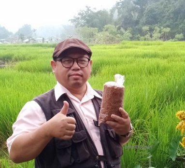 PADI WARNA KELADI – KG TAMBATUON