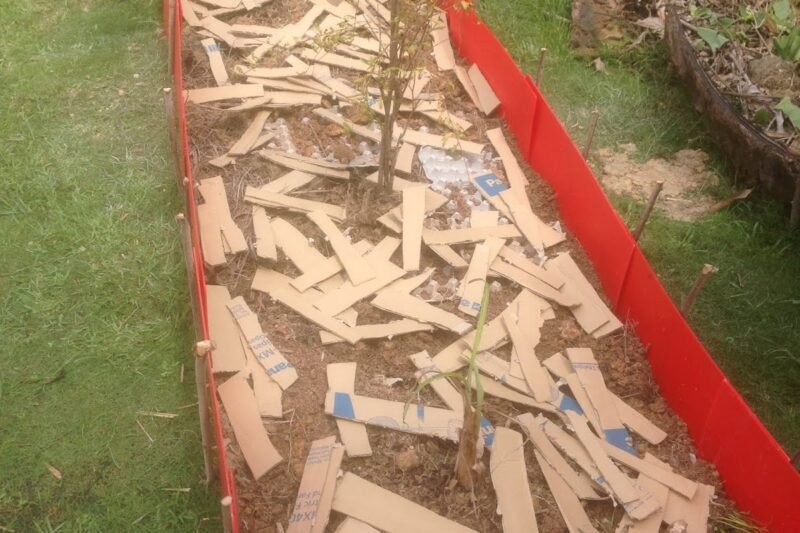 Bina Batas Timbun No. 7