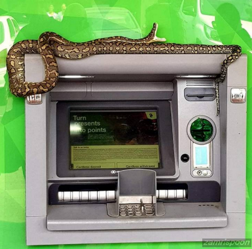 Menarik Foto Lawak Giler -1284